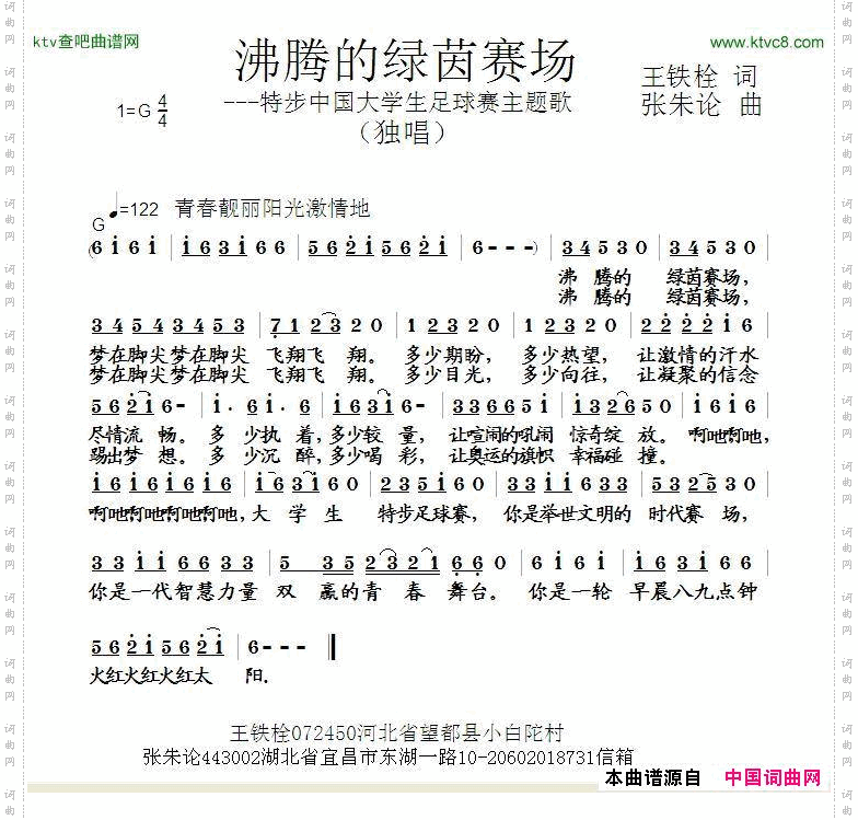 沸腾的绿茵赛场
