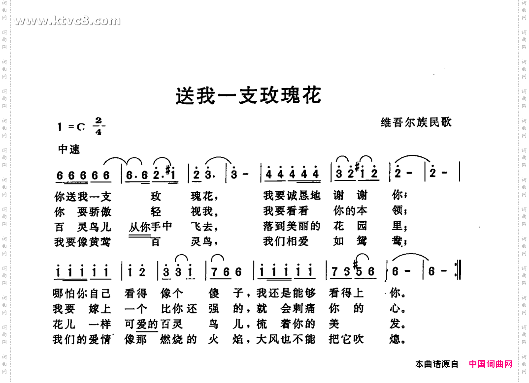 送我一支玫瑰花