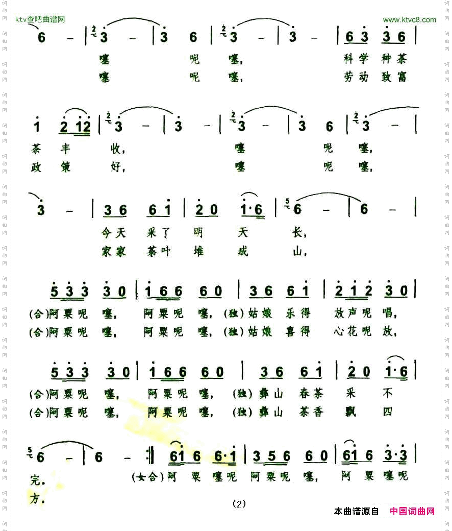 彝山春茶采不完