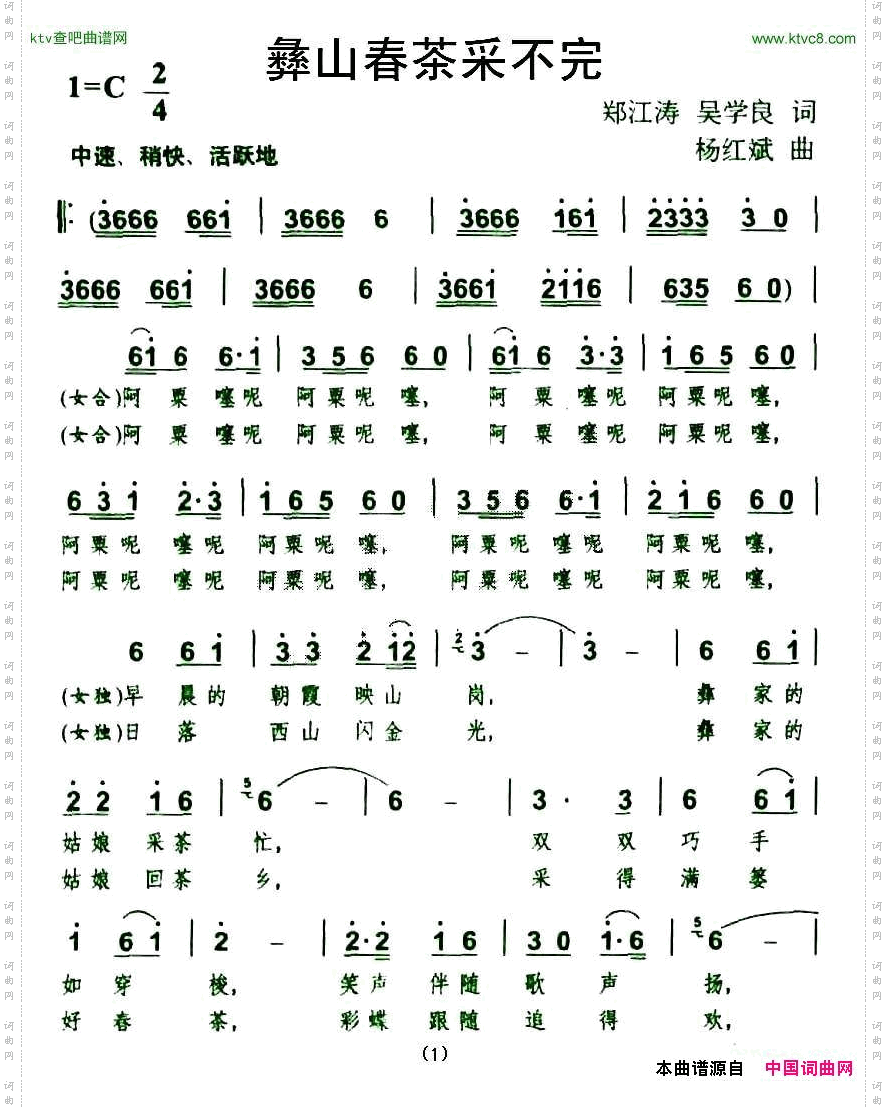 彝山春茶采不完