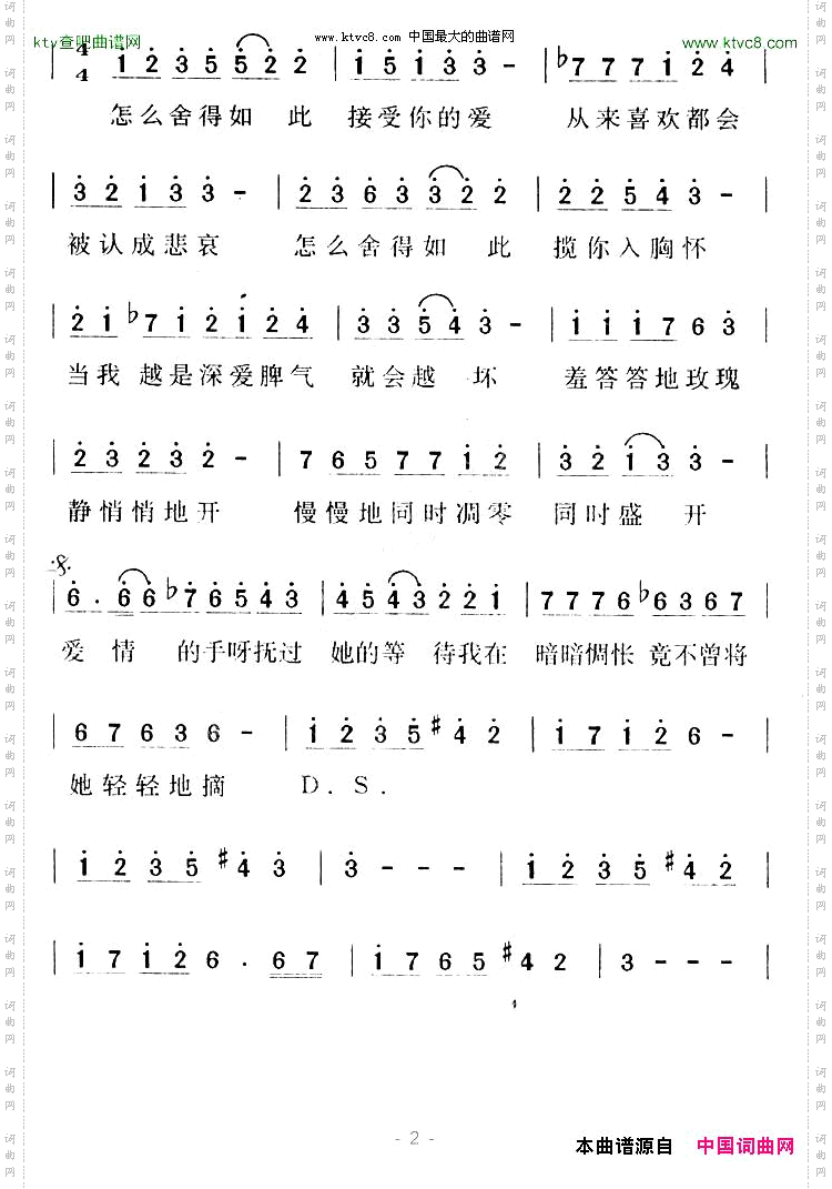 羞答答的玫瑰静悄悄的开