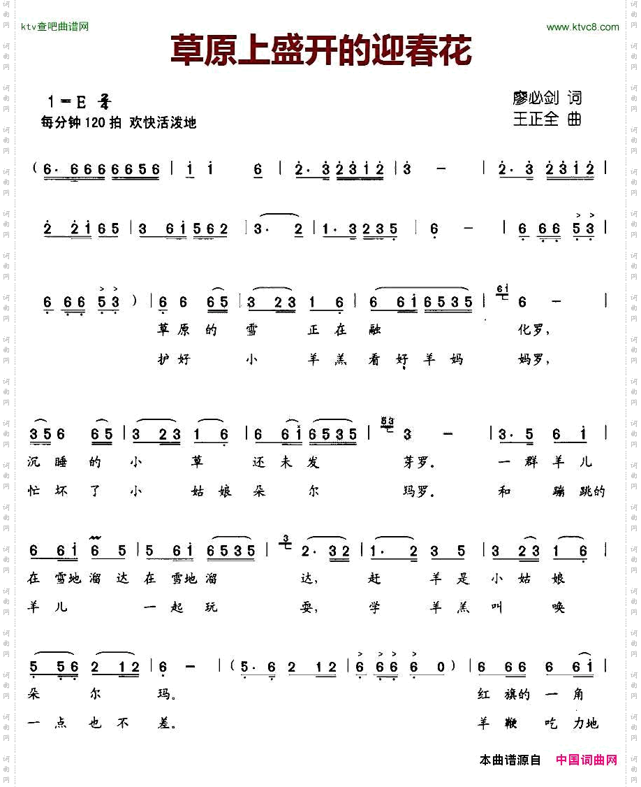 草原上盛开的迎春花