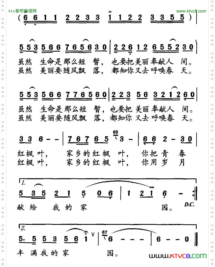 家乡的枫叶