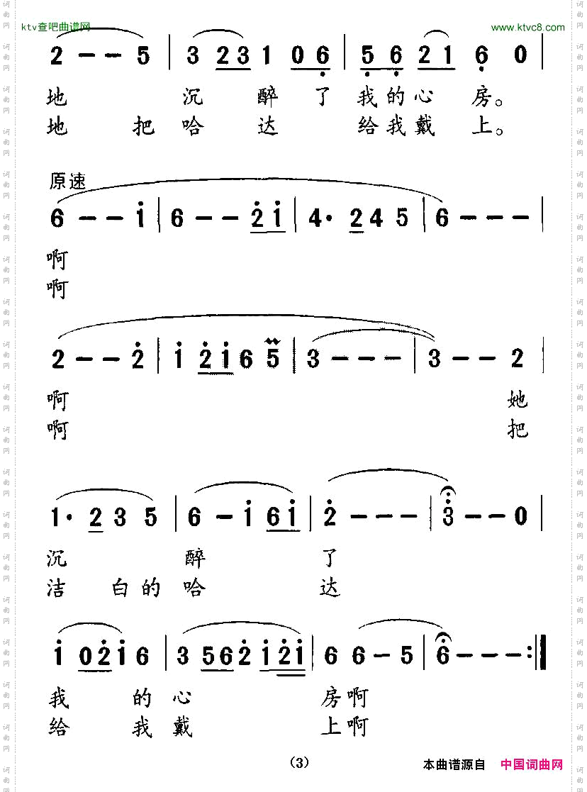 美丽的金银滩上