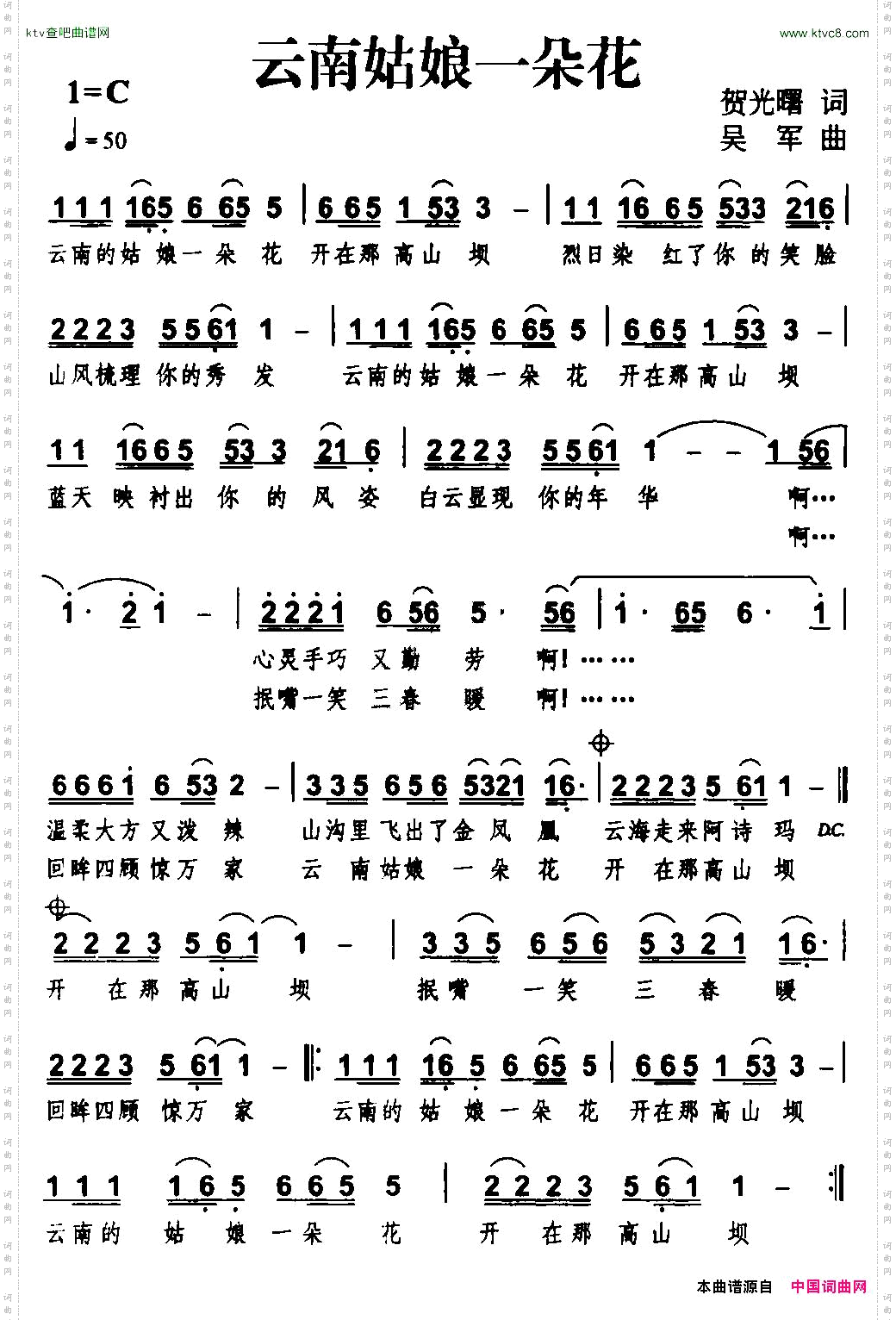 云南姑娘一朵花