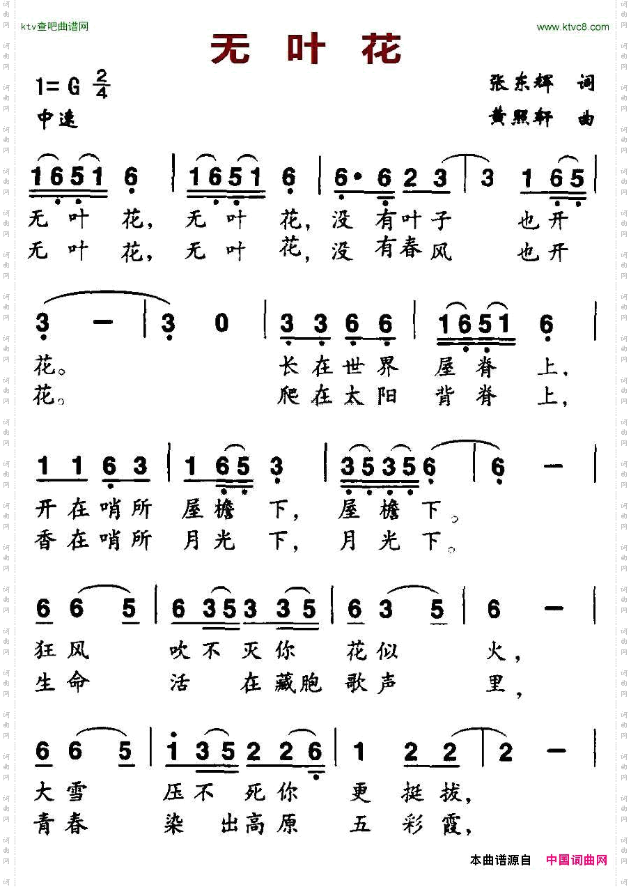 无叶花