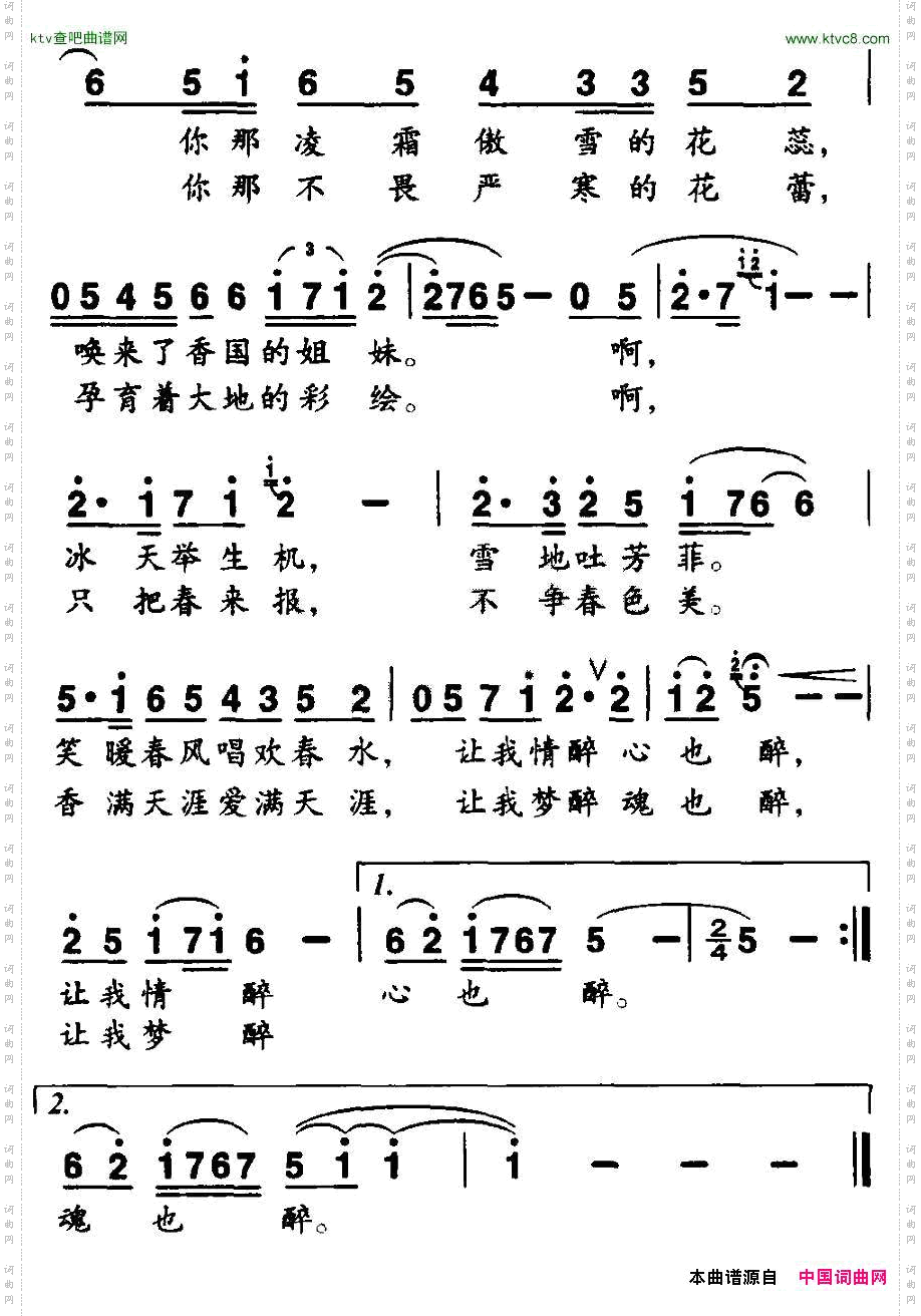 雪中红梅