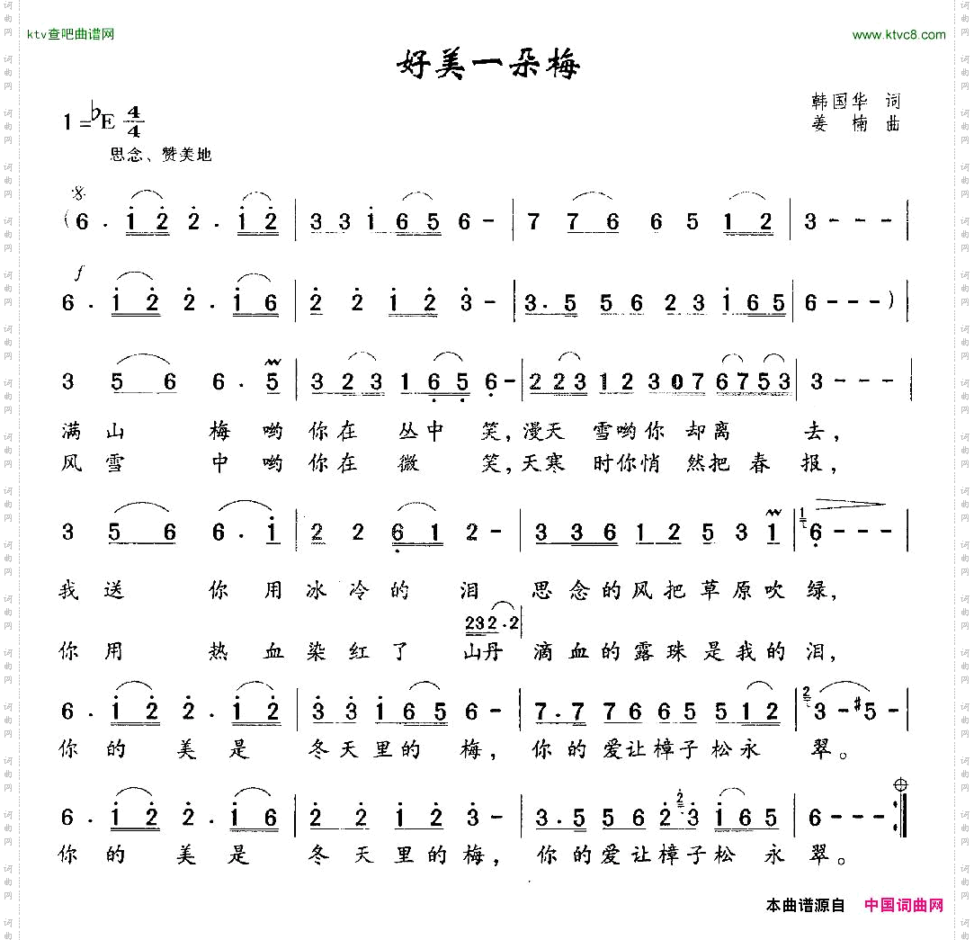 好美一朵梅