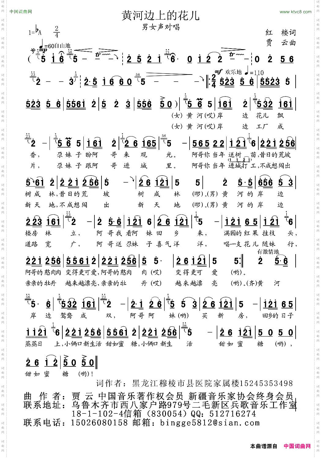 黄河边上的花儿