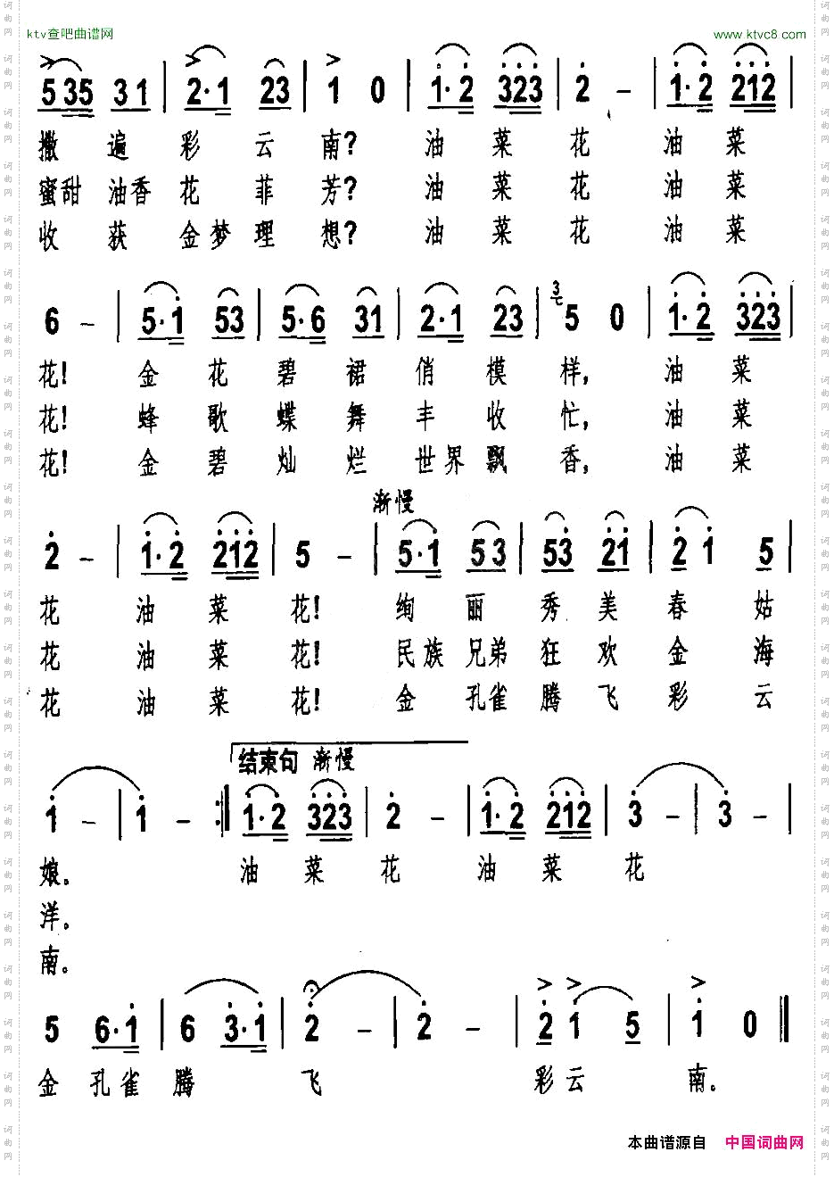 油菜花飞彩云南
