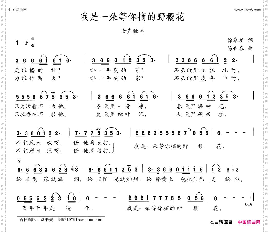 我是一朵等你摘的野樱花女声独唱