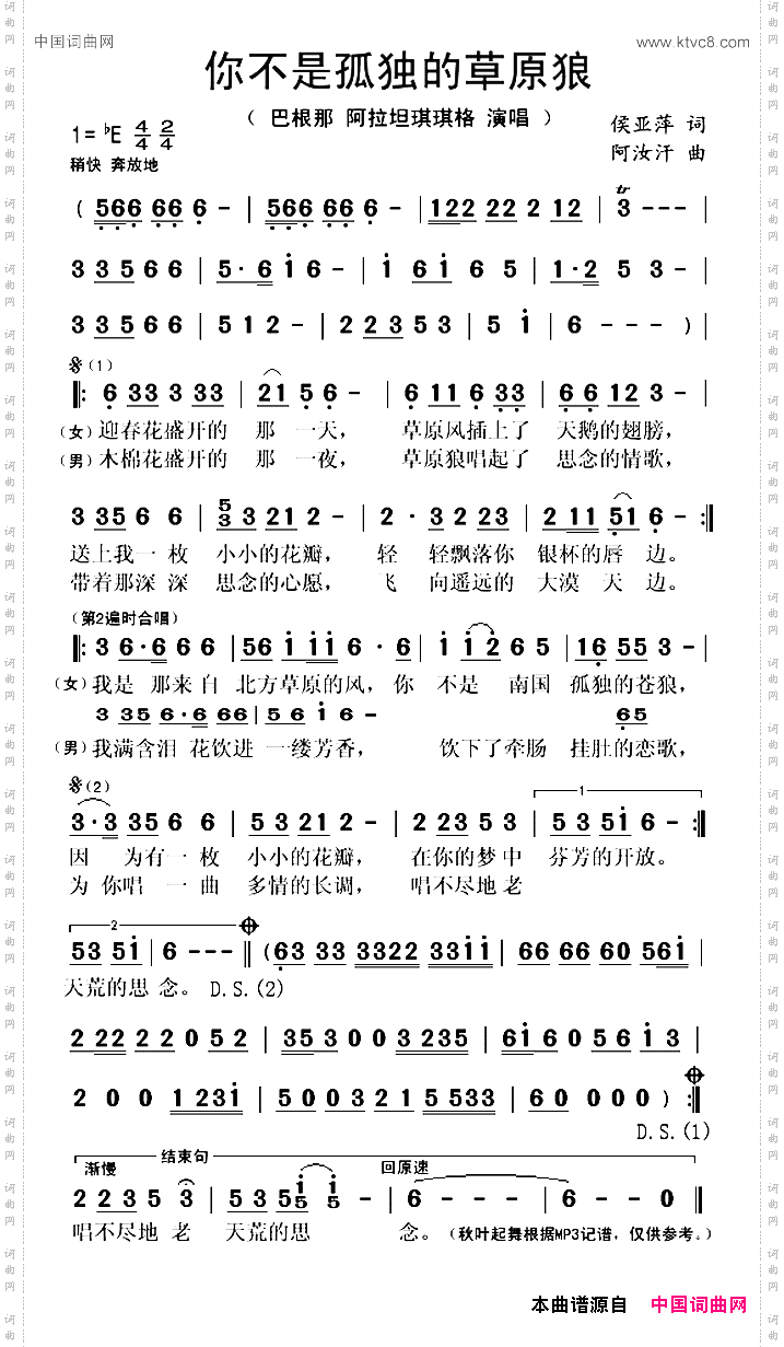 你不是孤独的草原狼