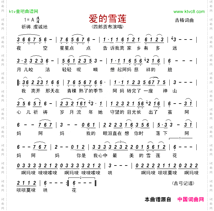 爱的雪莲