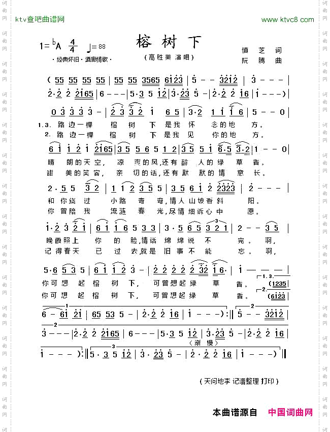 榕树下