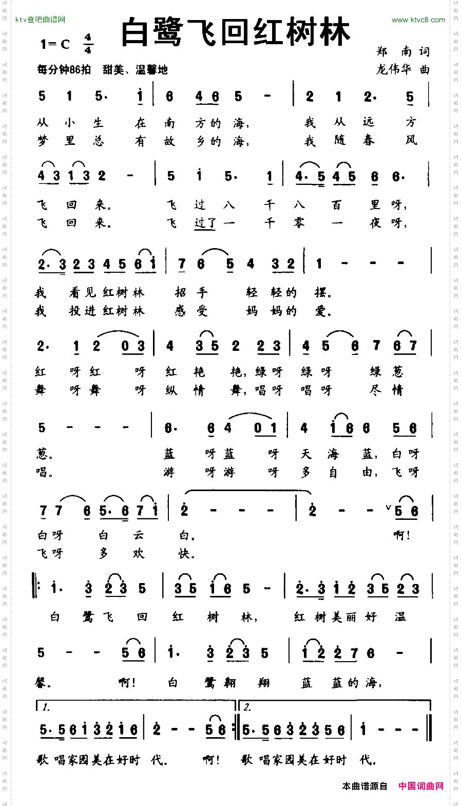 白鹭飞回红树林