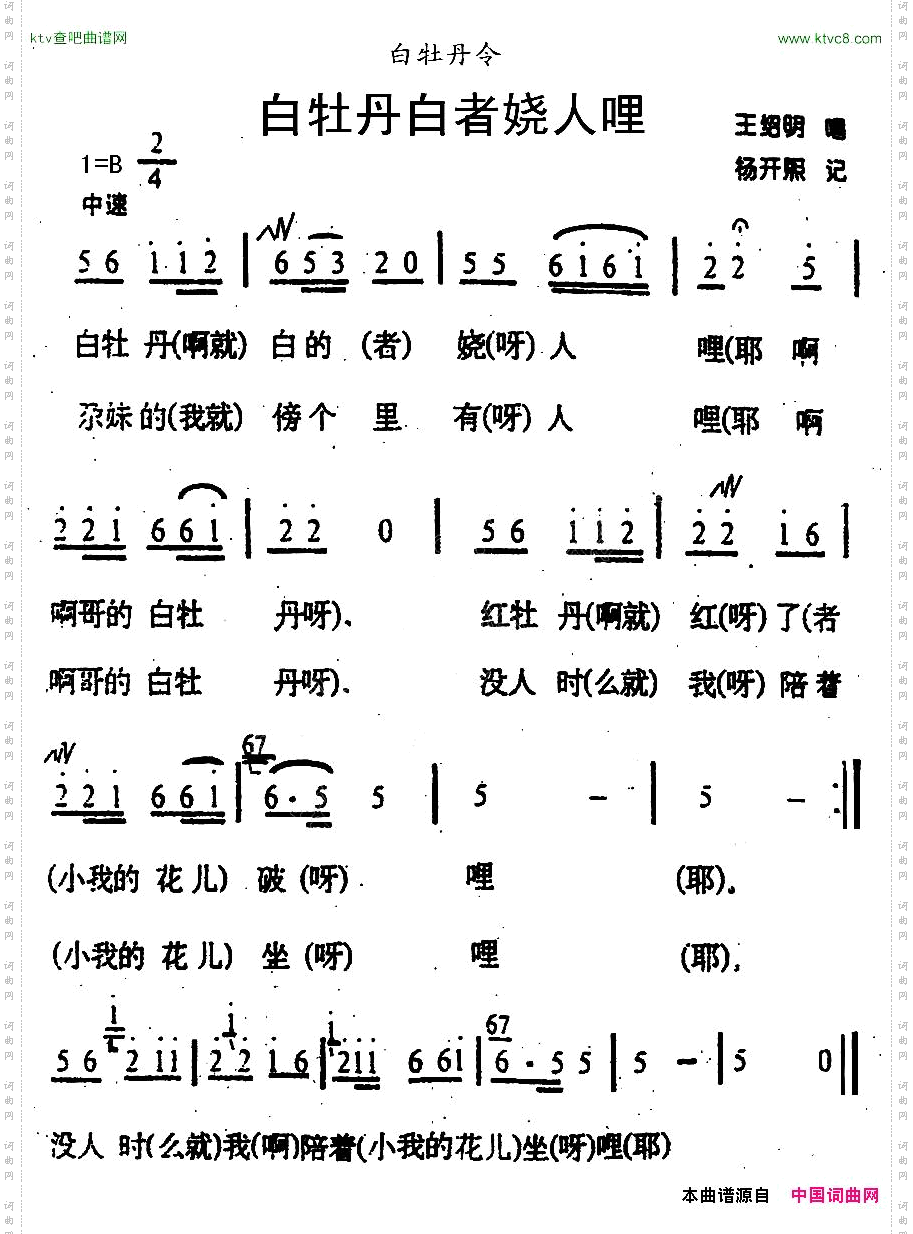 白牡丹白者娆人哩青海花儿·白牡丹令