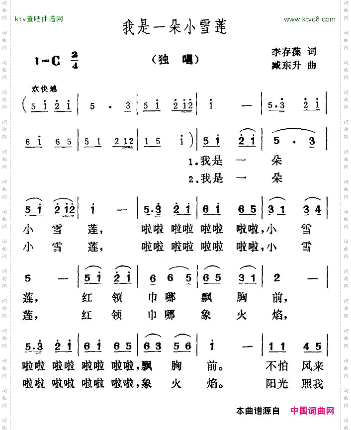 我是一朵小雪莲