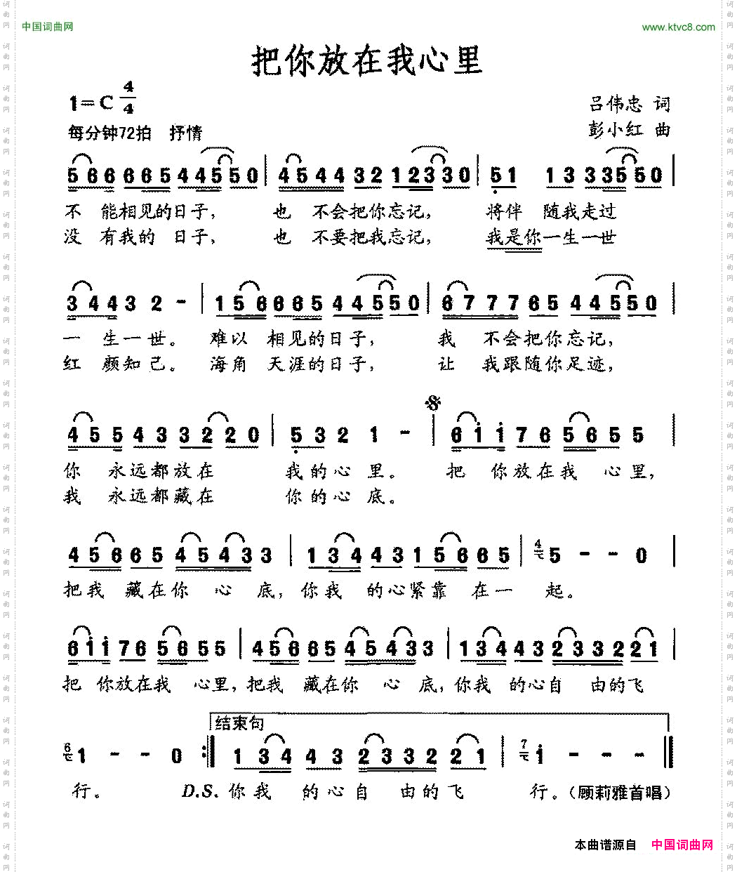 把你放在我心里