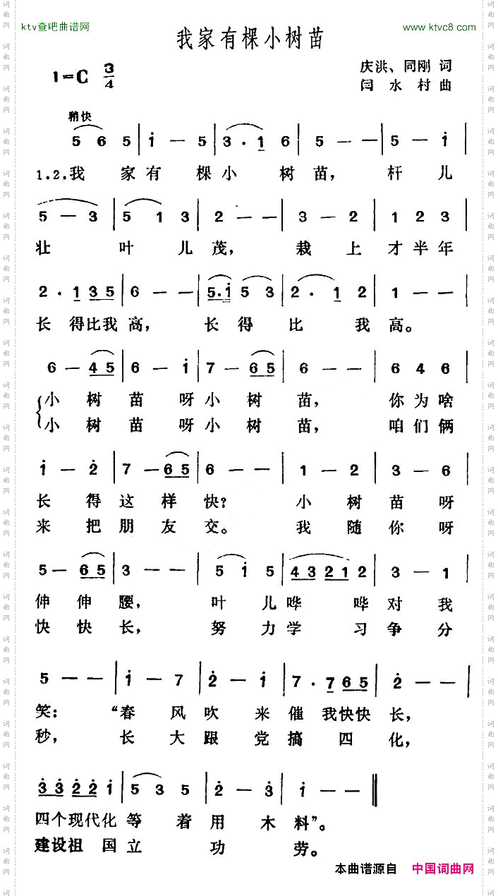 我家有棵小树苗
