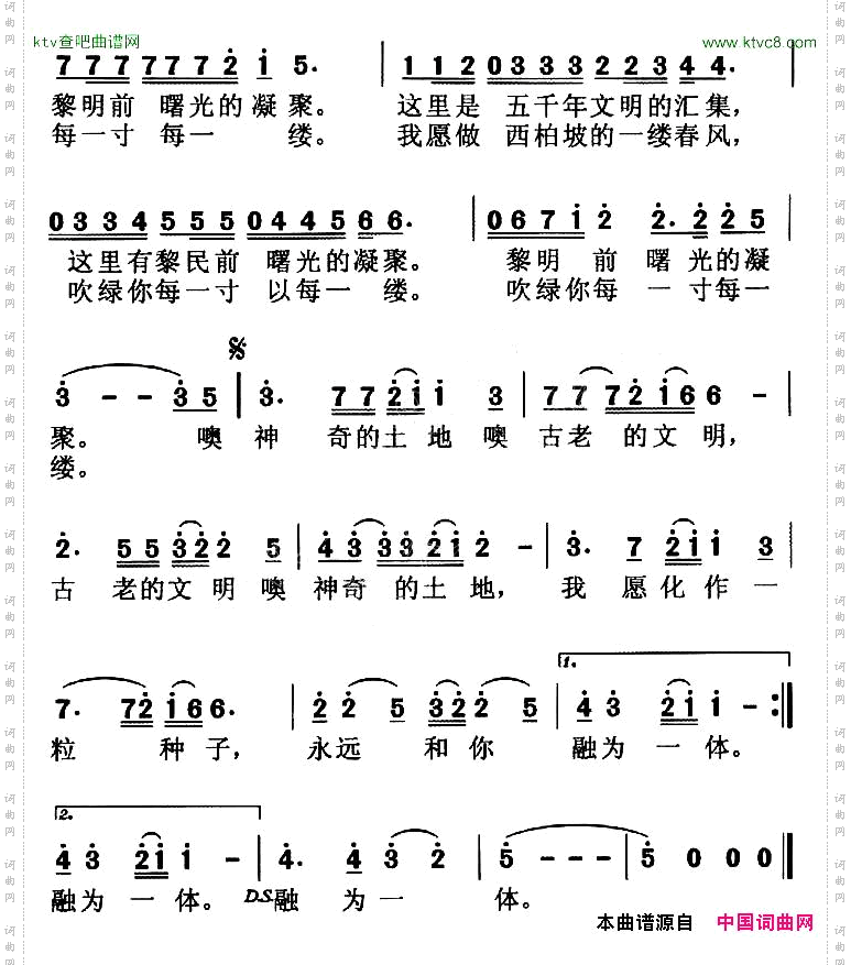 我深爱的这片土地