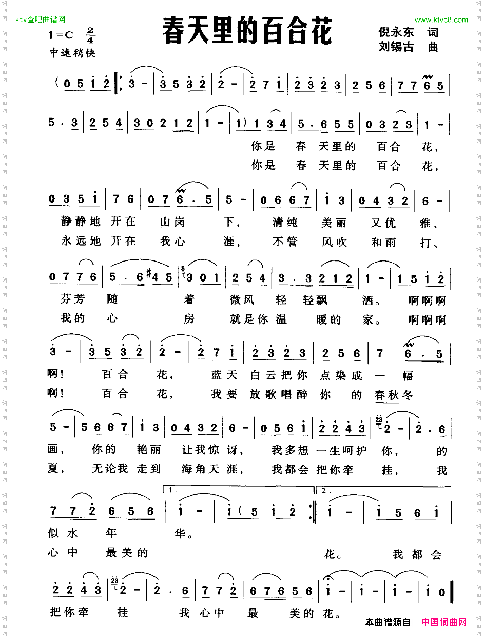 春天里的百合花