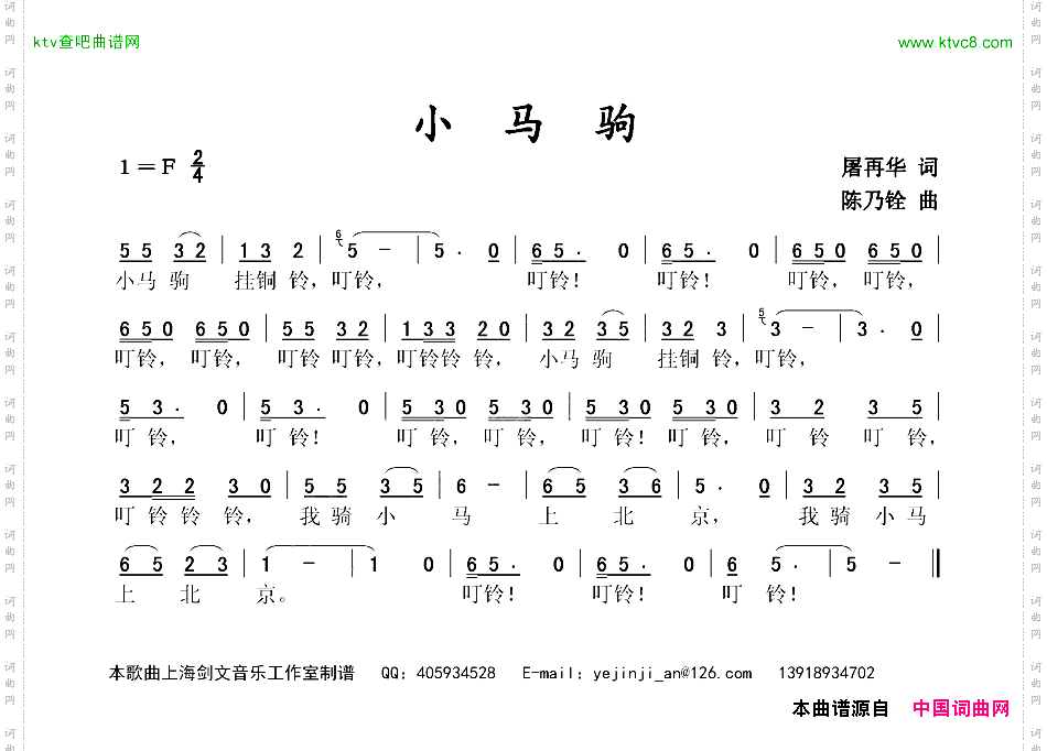 小马驹