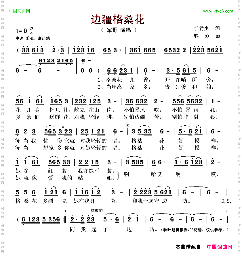 边疆格桑花