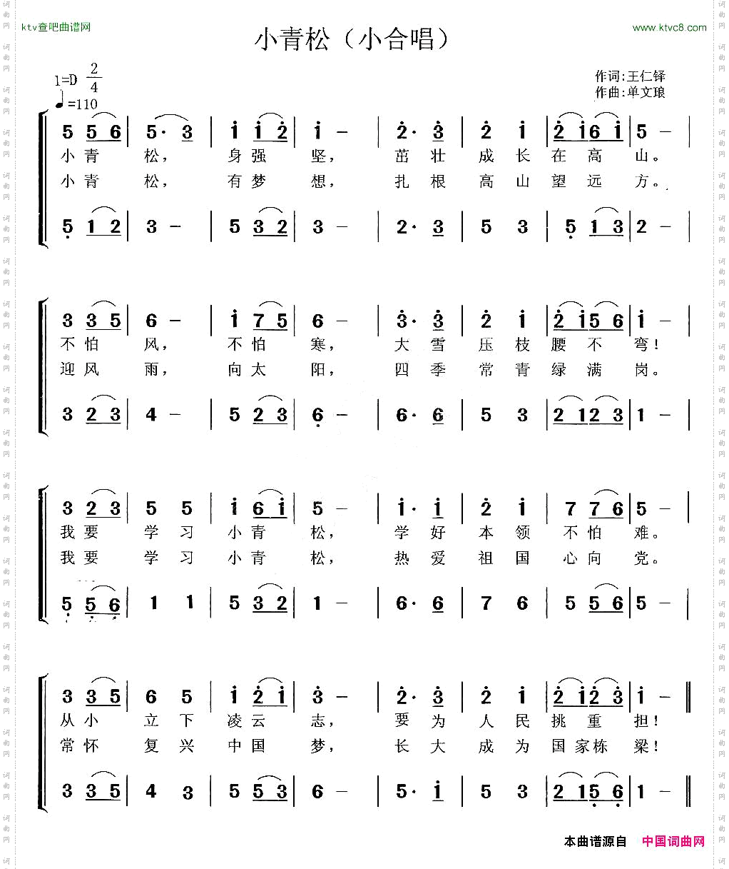 小青松