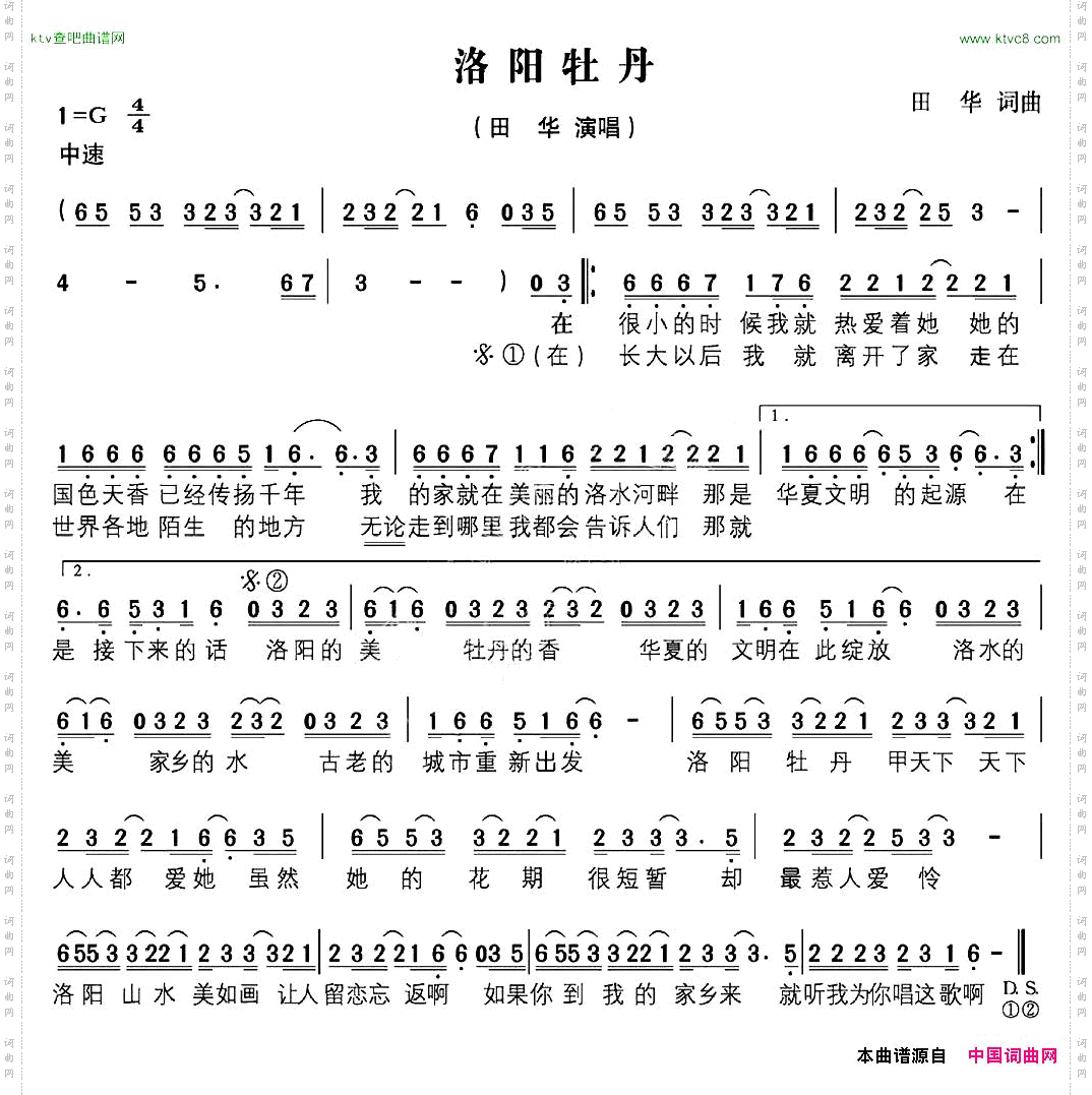 洛阳牡丹