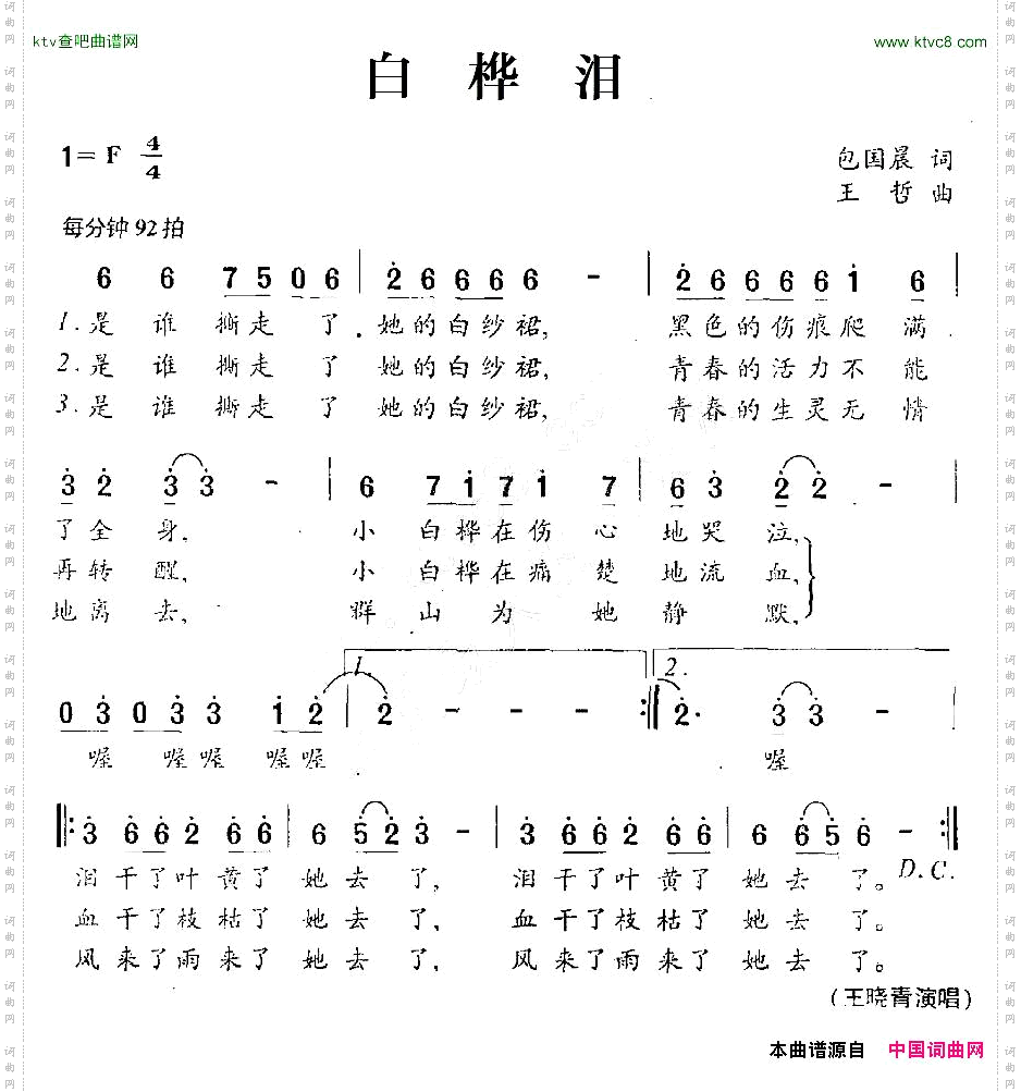 白桦泪