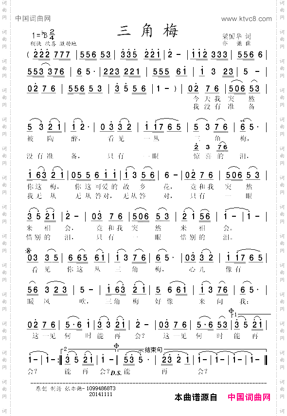 三角梅