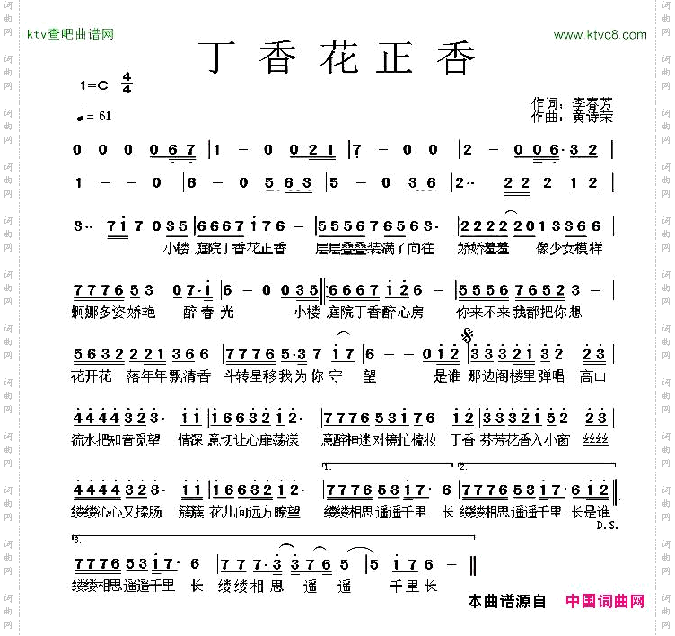 丁香花正香