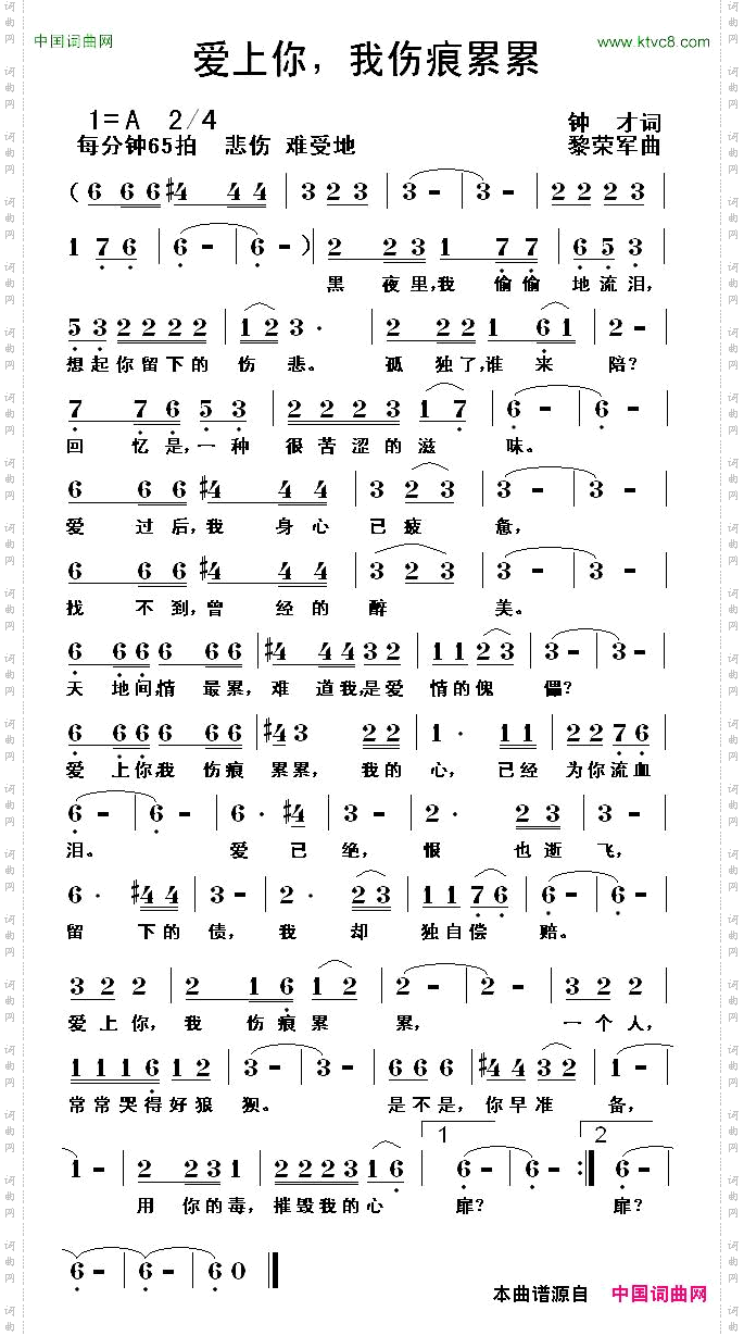 爱上你,我伤痕累累