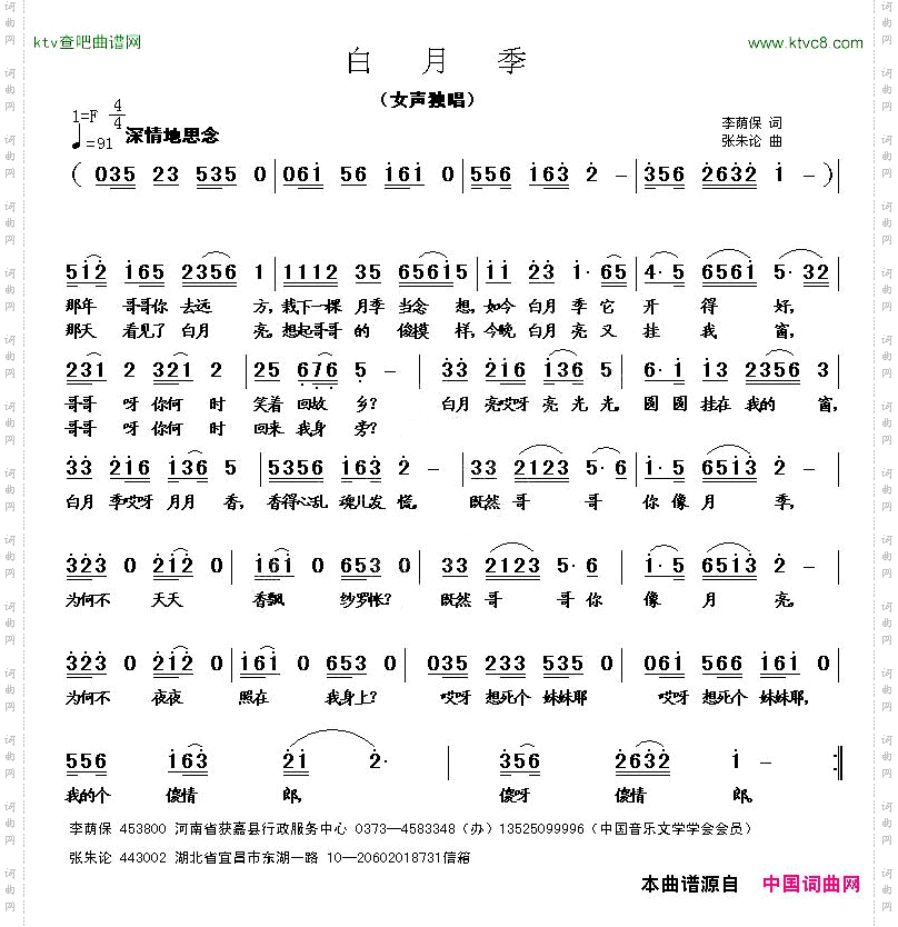 白月季