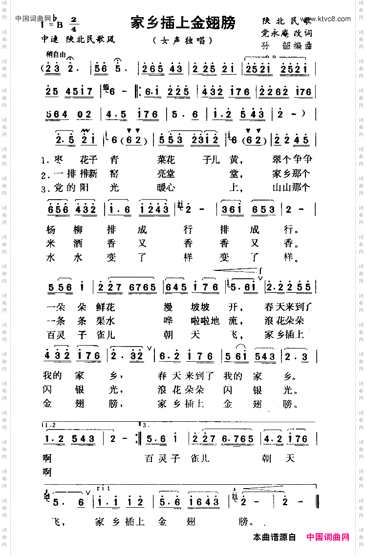 家乡插上金翅膀