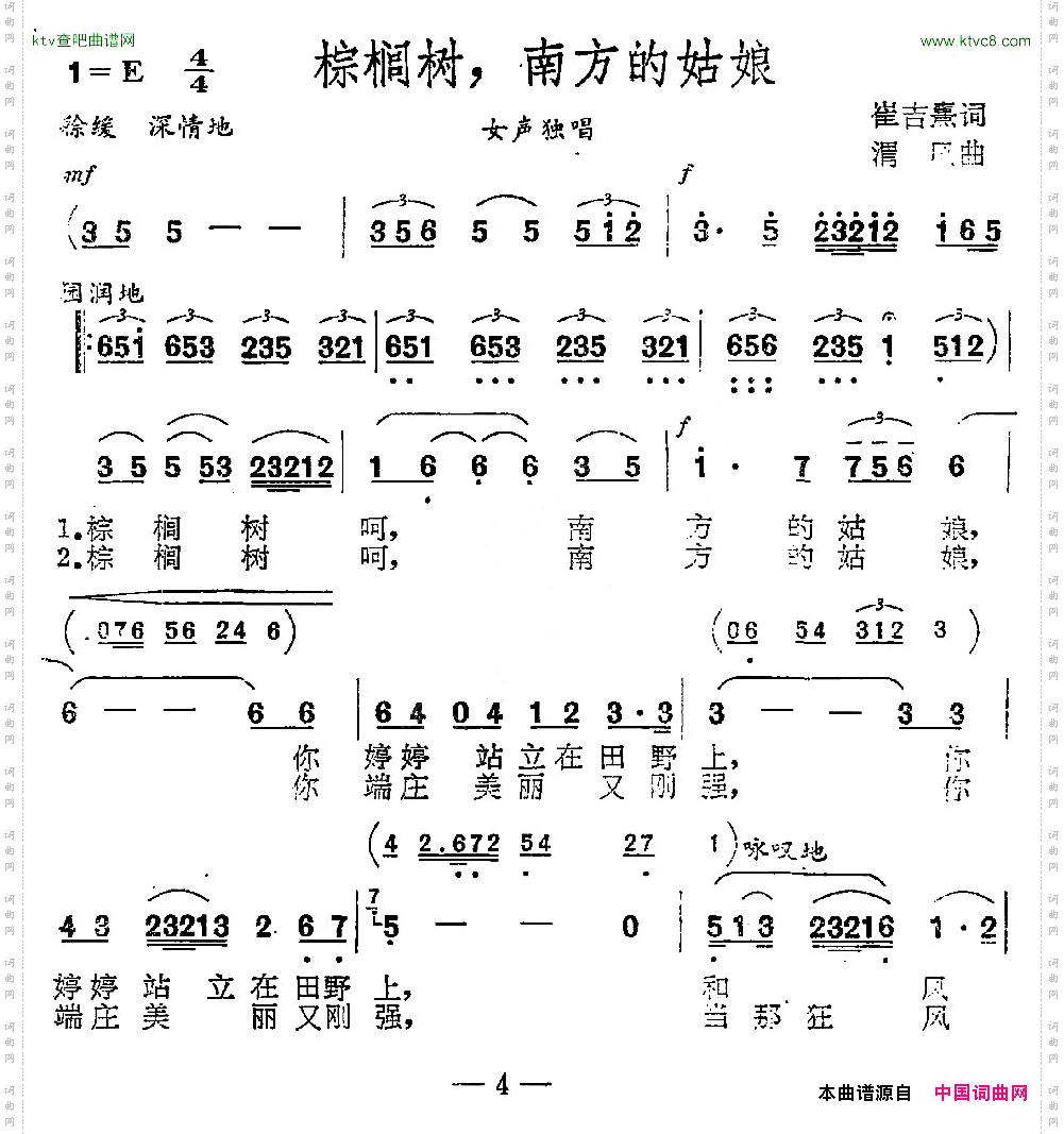 棕榈树，南方的姑娘