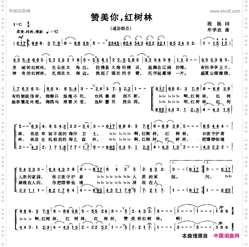赞美你，红树林