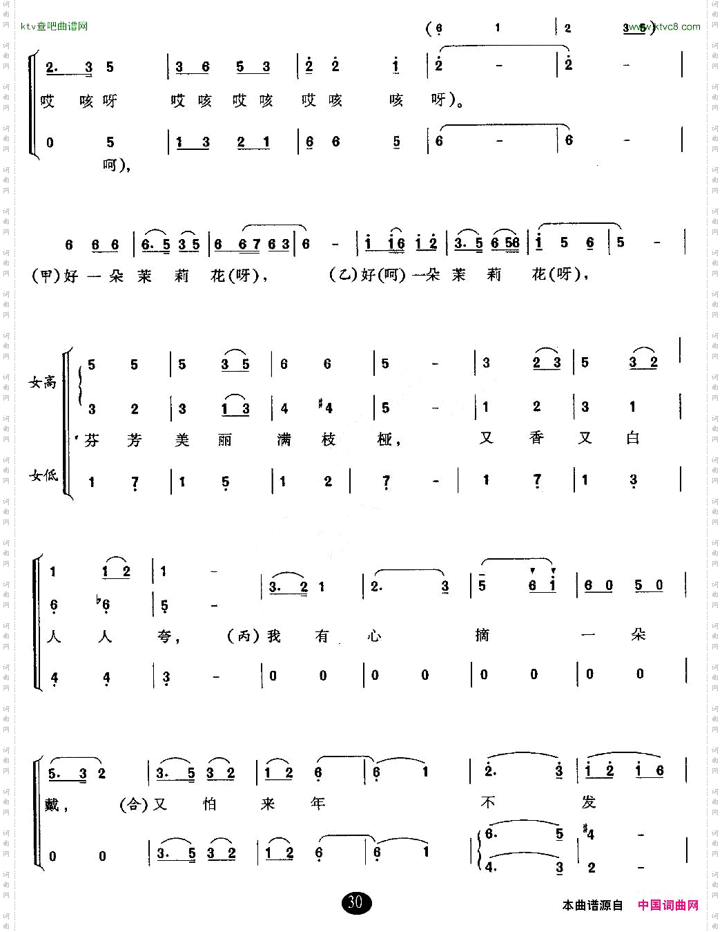 东西南北茉莉花