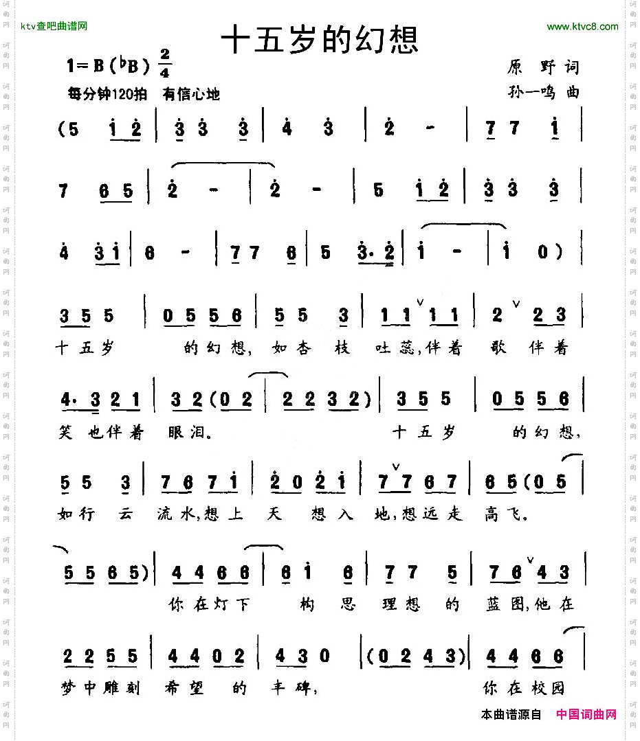 十五岁的幻想