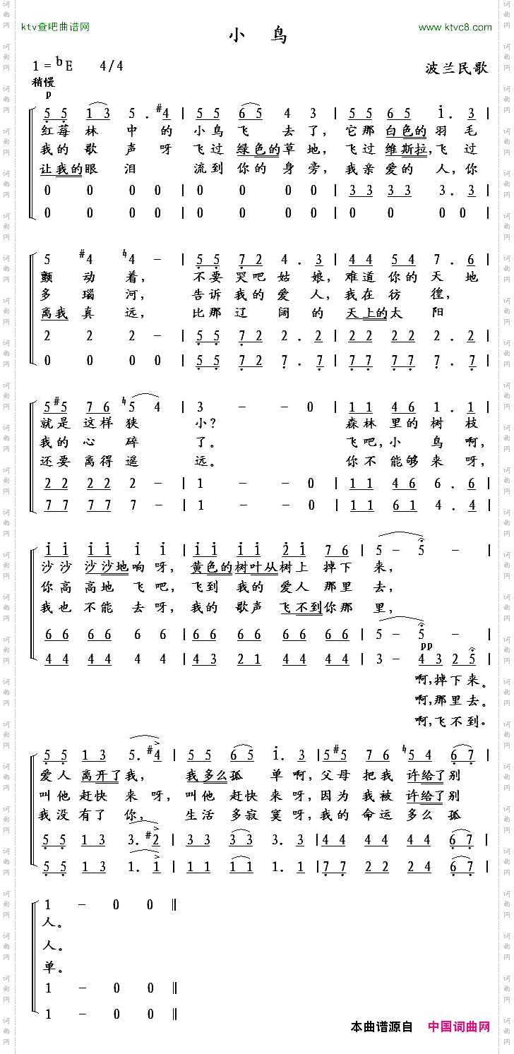 小鸟波兰