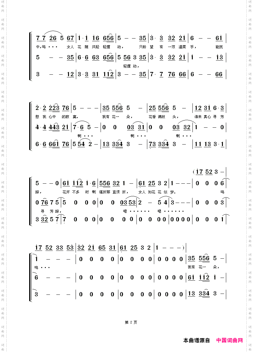 女人花黑鸭子组合版