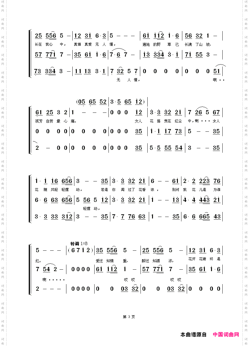 女人花黑鸭子组合版