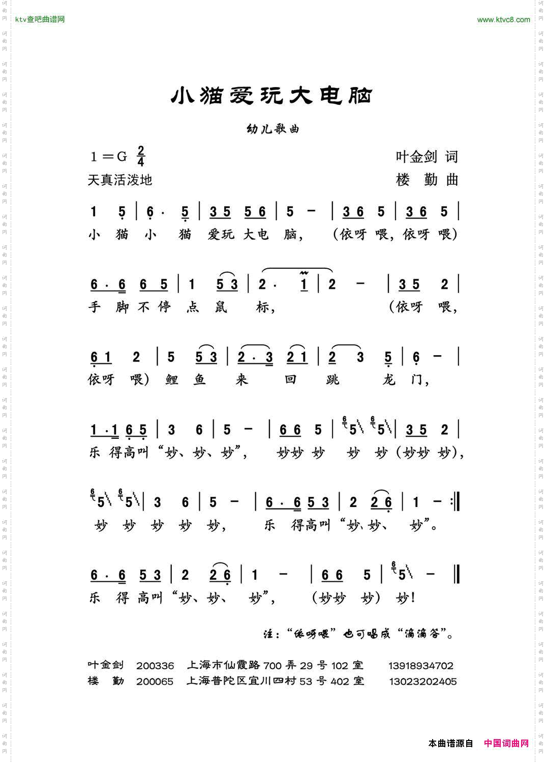 小猫爱玩大电脑