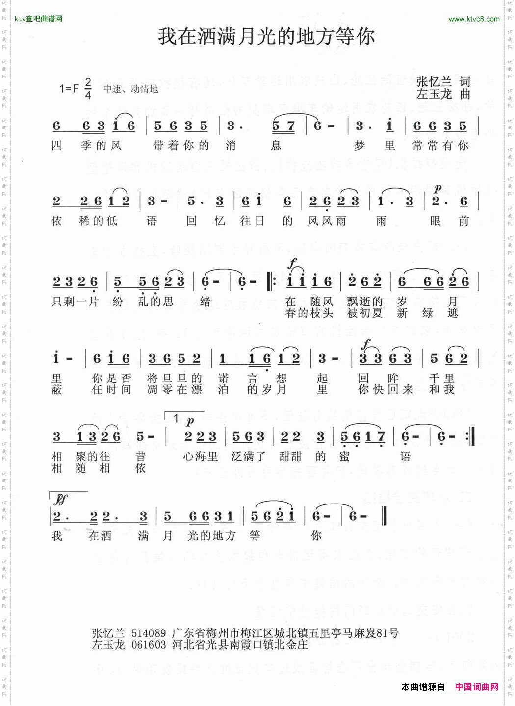 我在洒满的月光下等你