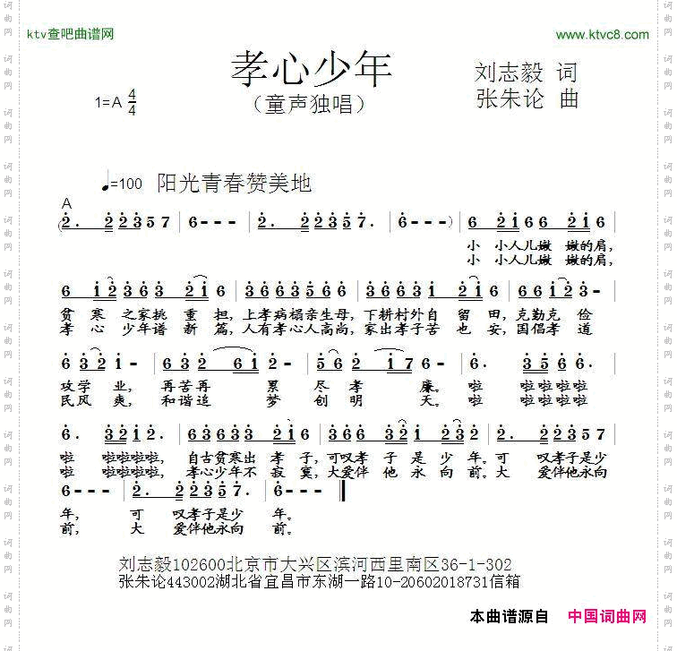 孝心少年
