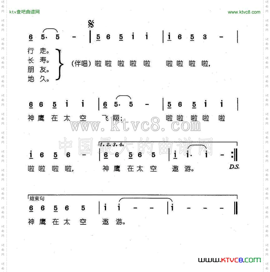 神鹰在太空招手