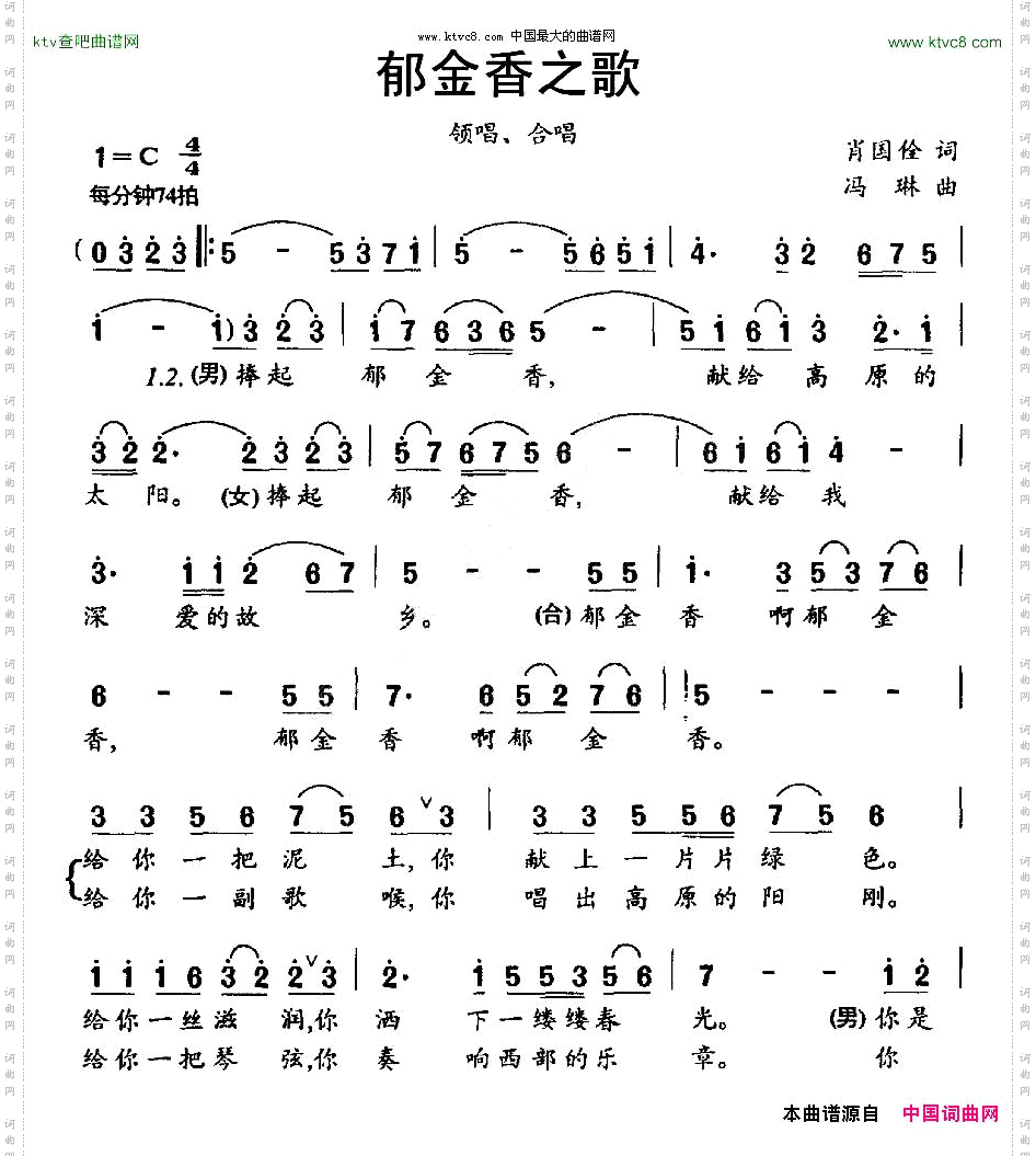 郁金香之歌