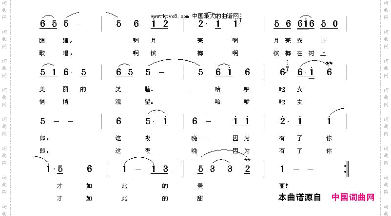 龙德湖之夜
