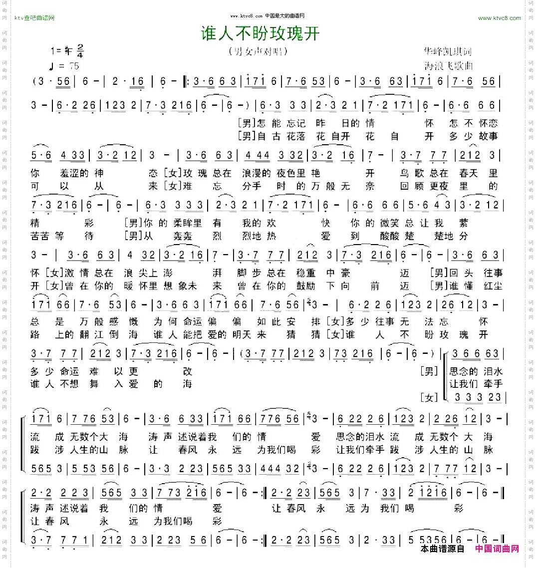 谁人不盼玫瑰开