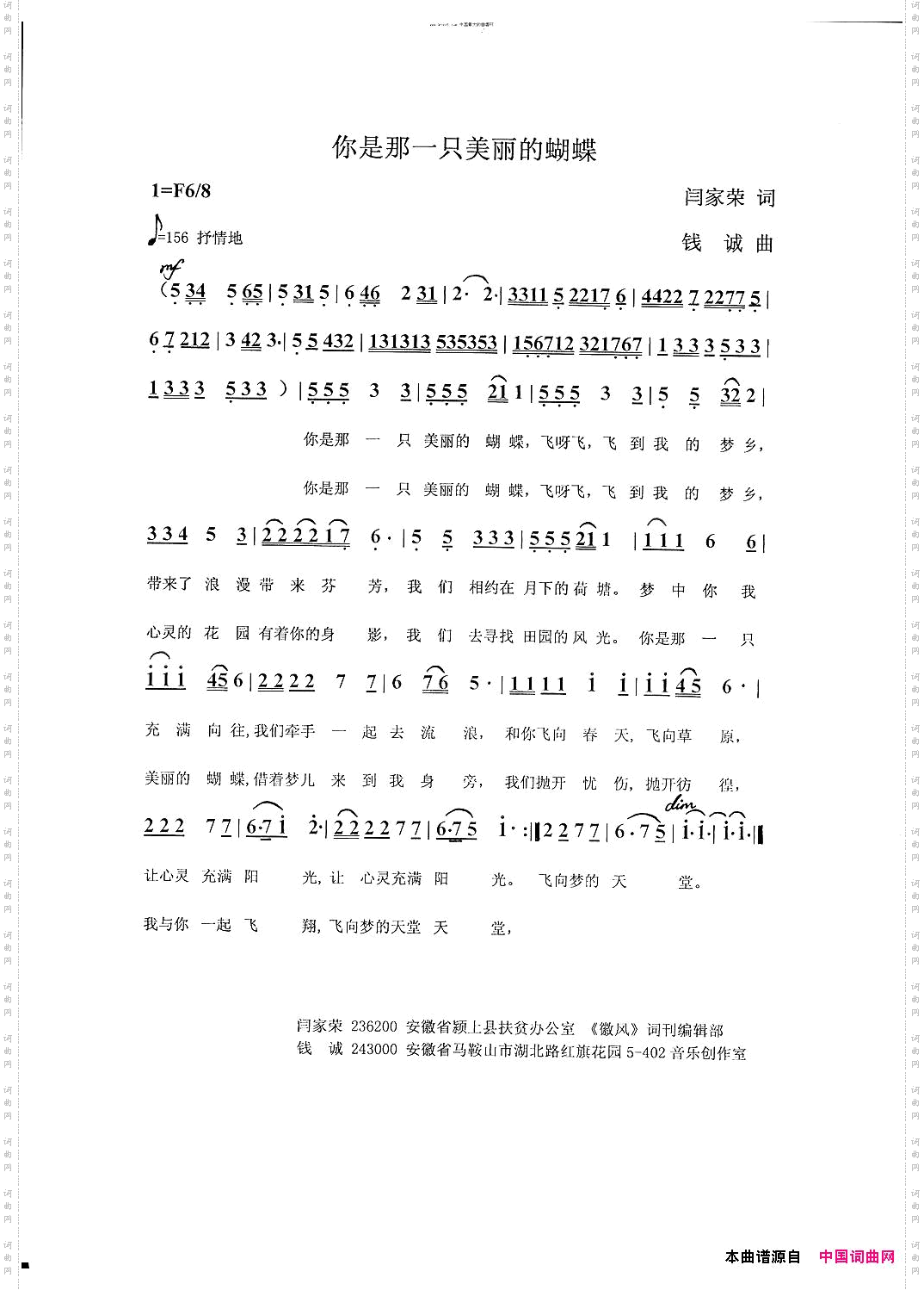 你是那一只美丽的蝴蝶